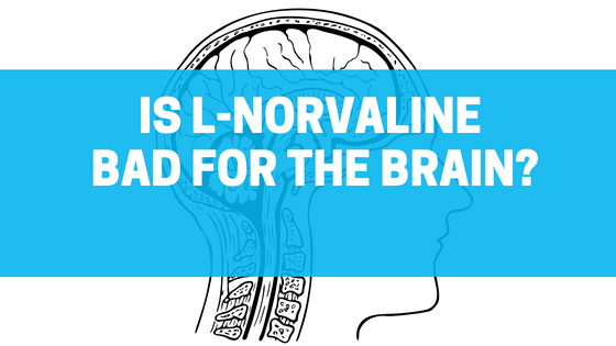 Is L-Norvaline Bad for the Brain?