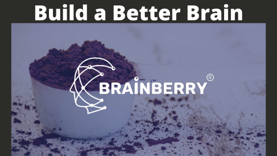 Build a Better Brain with BrainBerry