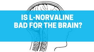 Is L-Norvaline Bad for the Brain?