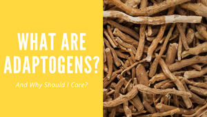 What is an Adaptogen and Why Should I Care?