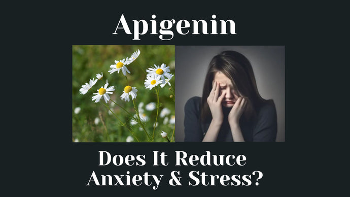 Apigenin: Chamomile's Secret for Stress & Anxiety